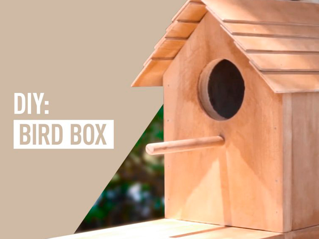 A bird box