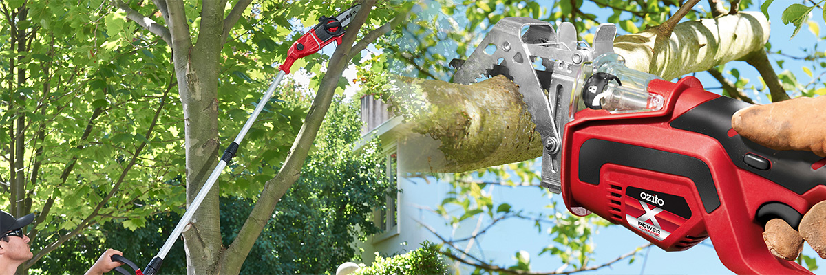 A battery pruning saw
